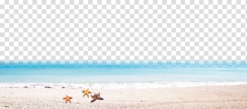 Vacation Summer Ecoregion Sky plc, Beach transparent background PNG clipart