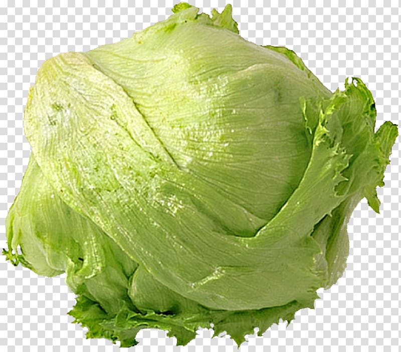 Romaine lettuce Mesclun Leaf vegetable Iceberg lettuce Cruciferous vegetables, vegetable transparent background PNG clipart