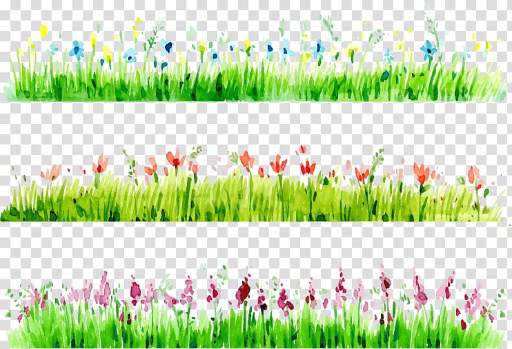 flowers with grass illustrations, Watercolor painting , Grass borders transparent background PNG clipart
