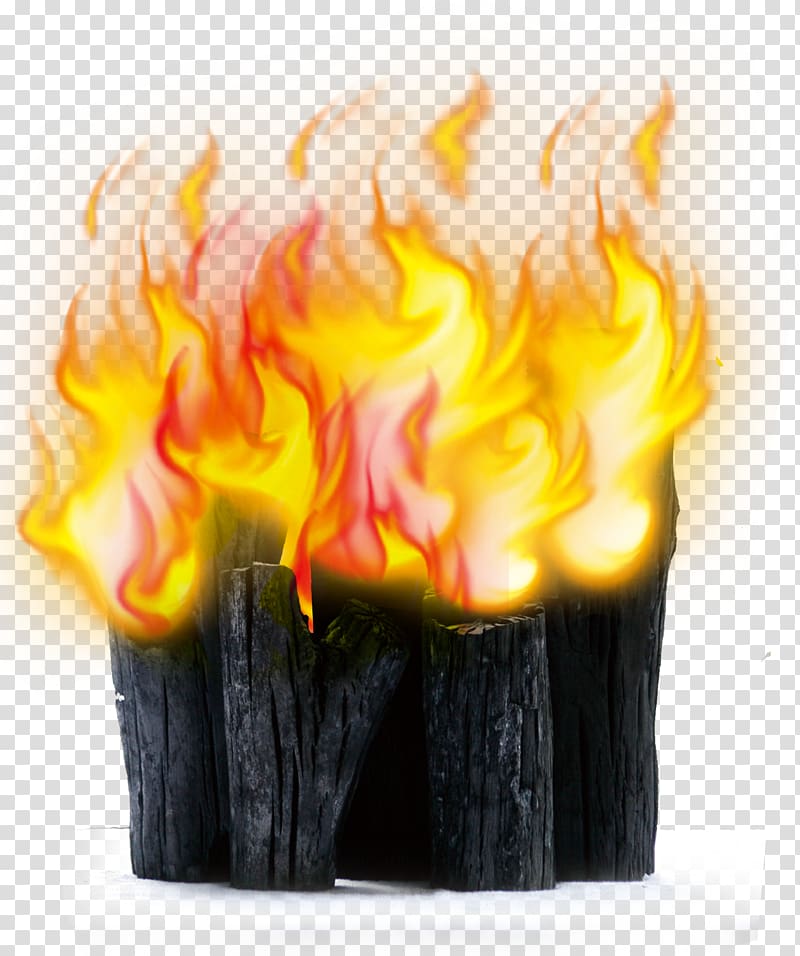 Chinese cuisine Firewood Poster, Beautiful wood flame transparent background PNG clipart