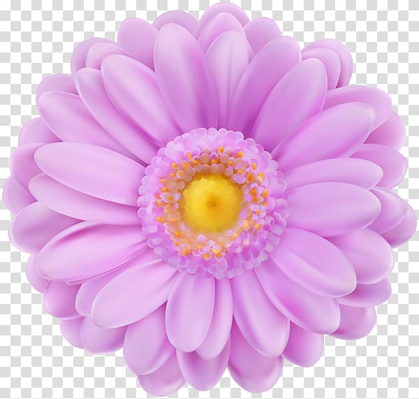 Pink flowers Computer Icons, purple flowers transparent background PNG clipart