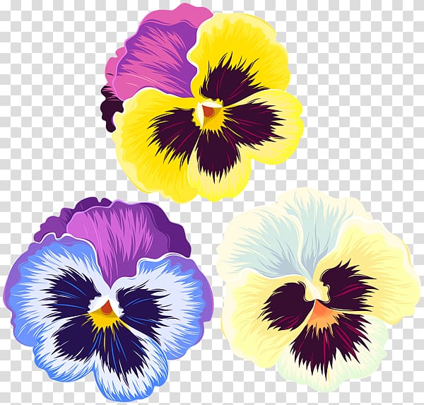 Pansy Art , others transparent background PNG clipart