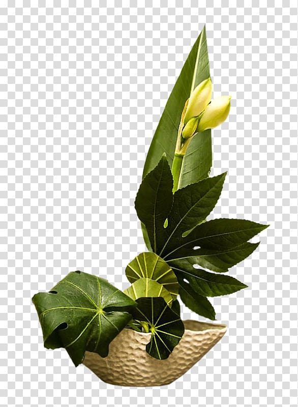 Floral design Birthday Flowerpot Daytime, zen garden transparent background PNG clipart