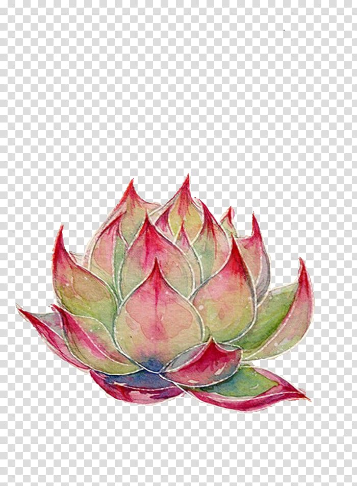 Nelumbo nucifera Watercolor painting Colored pencil Icon, Ji Lin baby transparent background PNG clipart