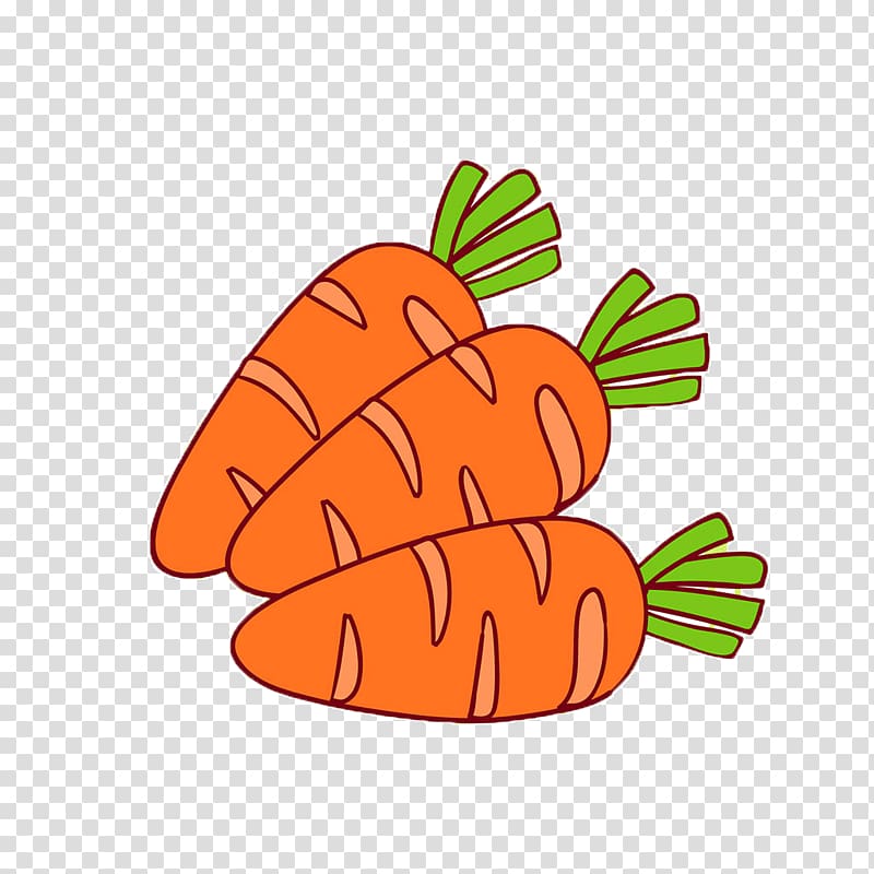 Carrot Illustration, carrot transparent background PNG clipart