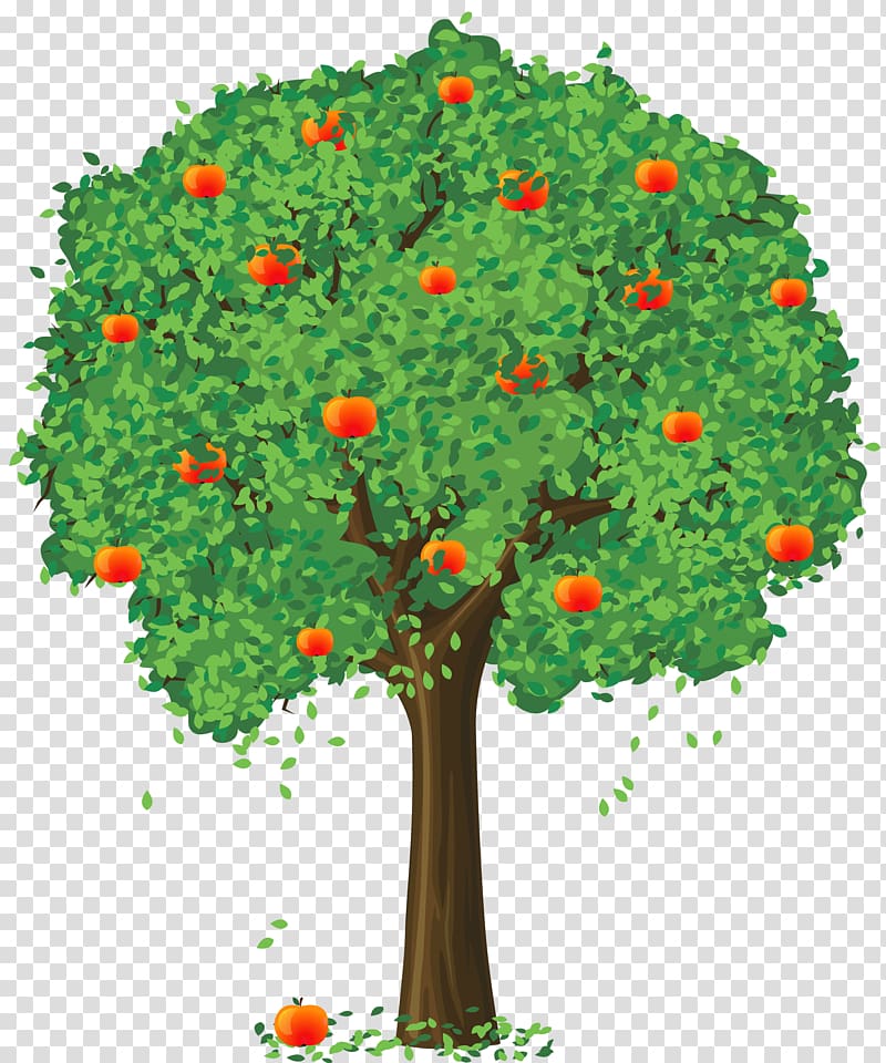 Berry Apple Fruit tree , Tree transparent background PNG clipart