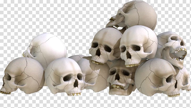 Skull Bone Skeleton, skull transparent background PNG clipart