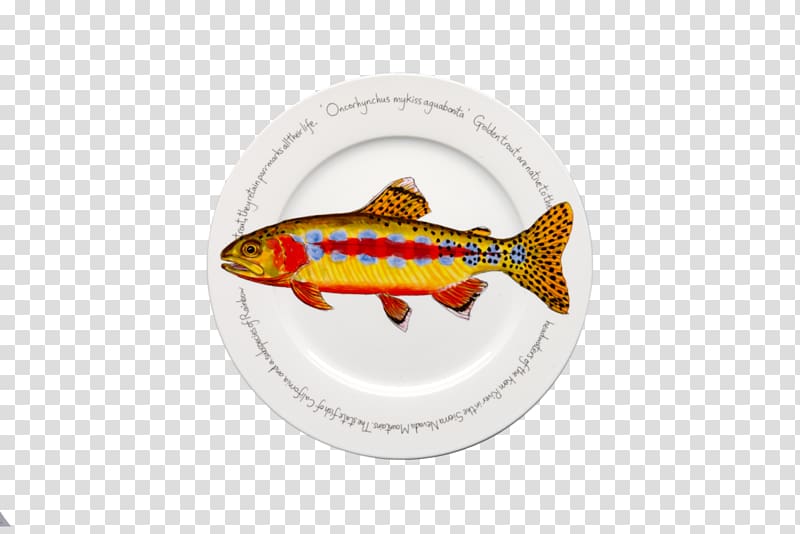 Kern River Golden trout Rainbow trout Plate, red stoneware dishes transparent background PNG clipart