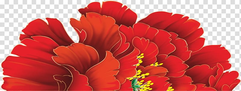 Red Moutan peony, Red Peony transparent background PNG clipart