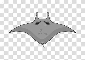 Computer programming Project Angular Food, design transparent background PNG clipart thumbnail