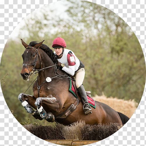 Eventing Equestrian Horse Hunt seat Endurance riding, horse transparent background PNG clipart