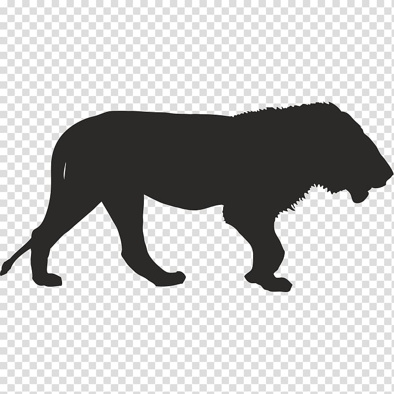 Africa Lion graphics Rhinoceros, africa transparent background PNG clipart