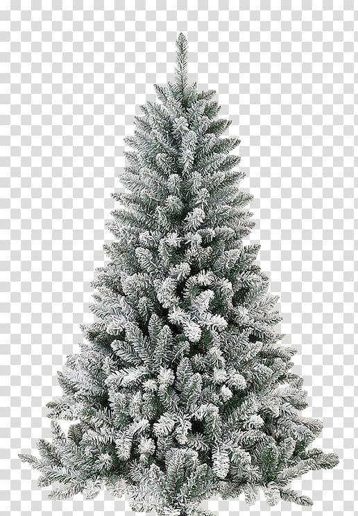Spruce Christmas tree Santa Claus Christmas ornament Christmas Day, DV transparent background PNG clipart