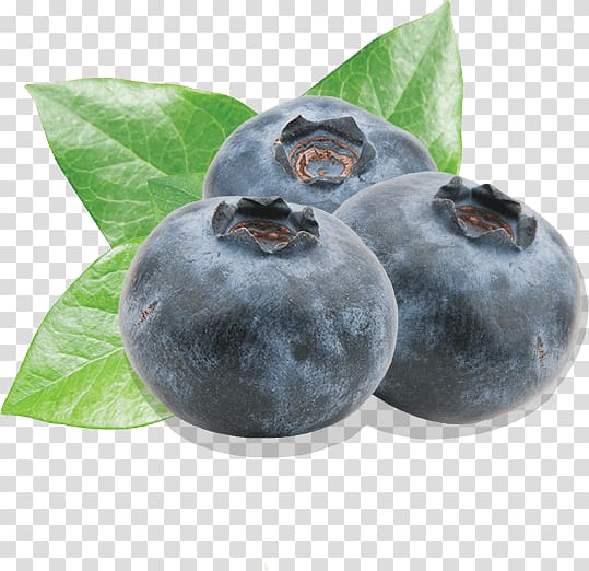 Blueberry Bilberry Fruit Driscoll\'s, blueberries transparent background PNG clipart