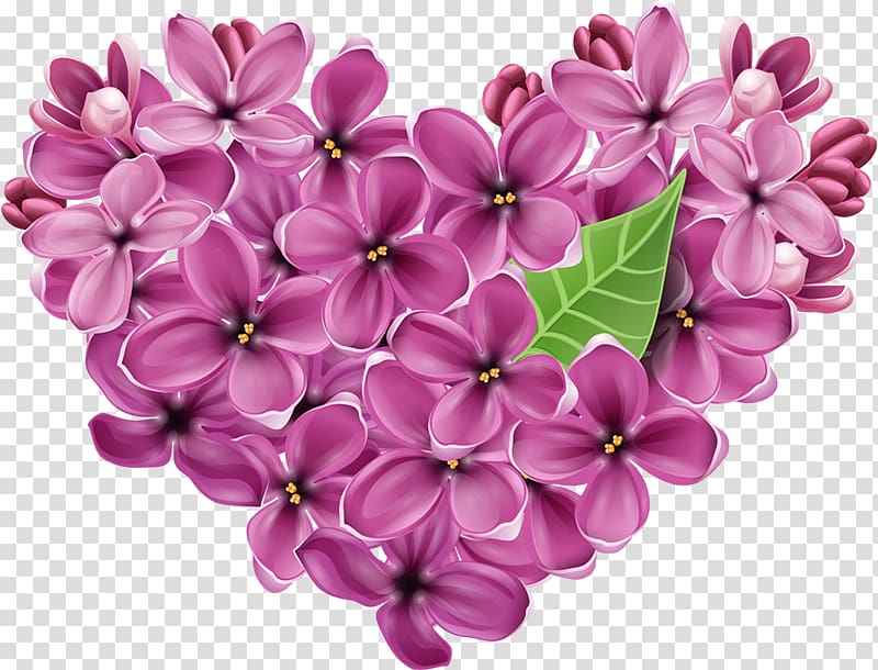 Heart Flower Valentines Day , Heart lilac transparent background PNG clipart