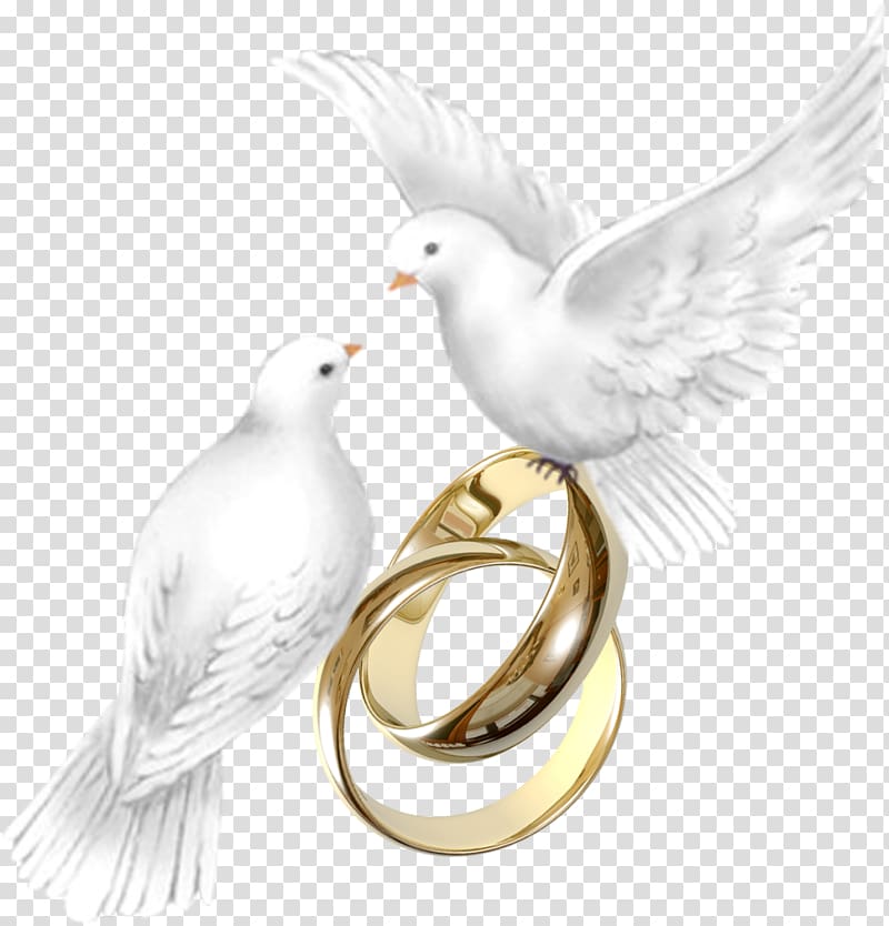 ¿Vale la pena casarse? Beak Feather Wedding ring, feather transparent background PNG clipart