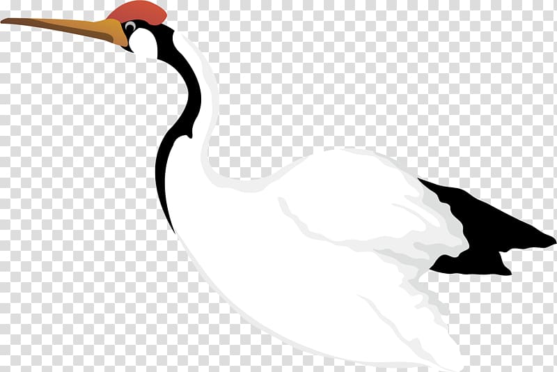 Red-crowned crane Cygnini , White Crane transparent background PNG clipart