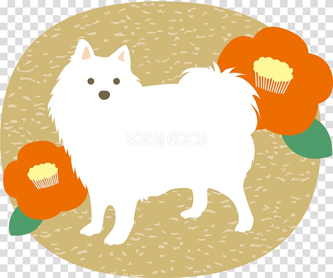 Pomeranian Whiskers Dog breed, asaka transparent background PNG clipart