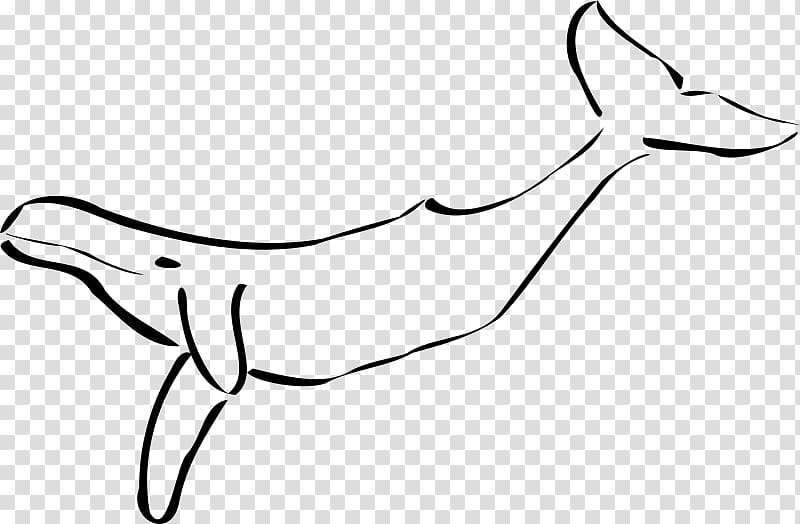 Cetacea Humpback whale Black and white Giant panda , Dolphin tail transparent background PNG clipart