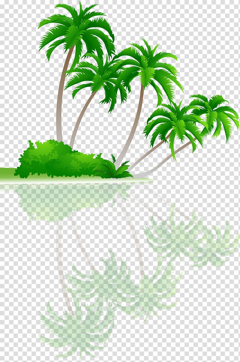 Tree Arecaceae Coconut, palm tree transparent background PNG clipart