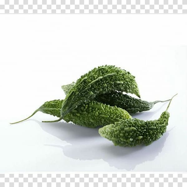 Bitter melon Vegetable Herb Cucumber, bok choy transparent background PNG clipart