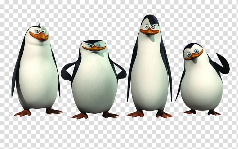 Madagascar penguins transparent background PNG clipart