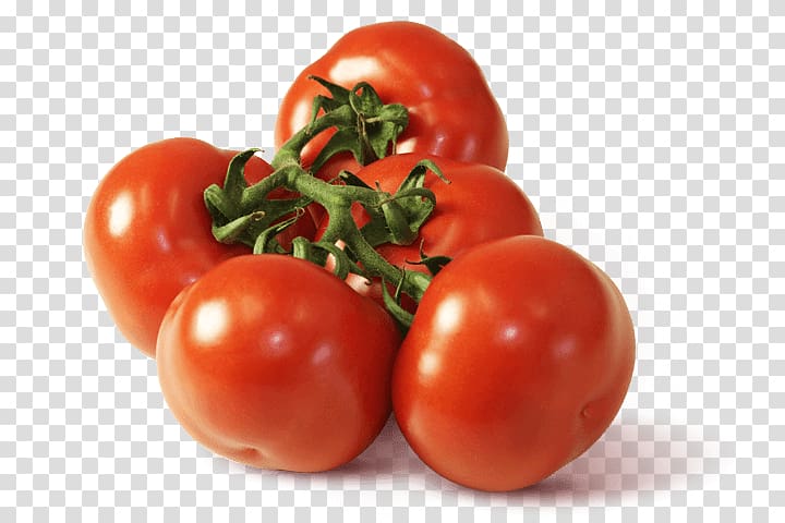 Plum tomato Vegetable Steiner GmbH & Co. KG Olericulture Sustainability, mate argentina transparent background PNG clipart