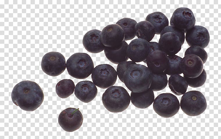 Blueberry Purple, Blueberry transparent background PNG clipart