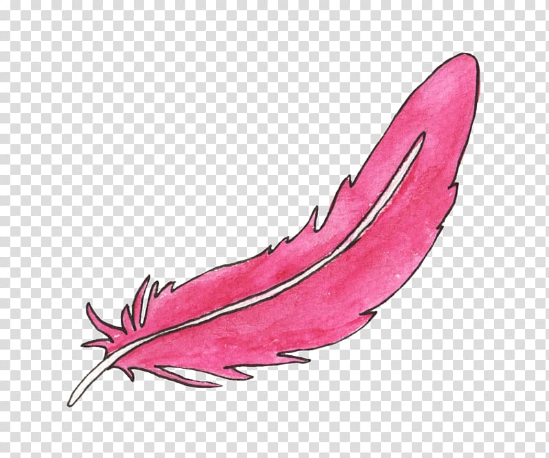 Feather Bird Animal, feather transparent background PNG clipart