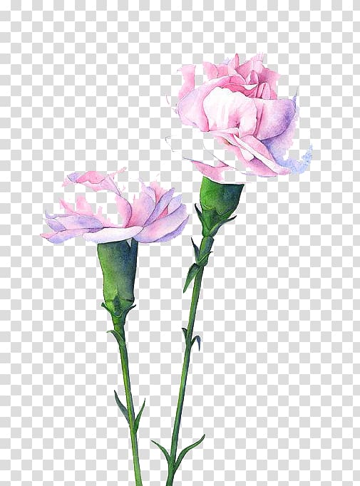 pink flowers transparent background PNG clipart