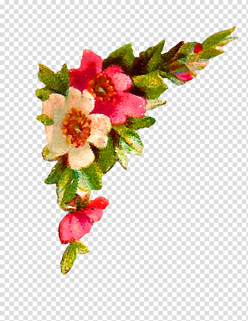 Quran Urdu Dua Islam Hindi, peach flower transparent background PNG clipart