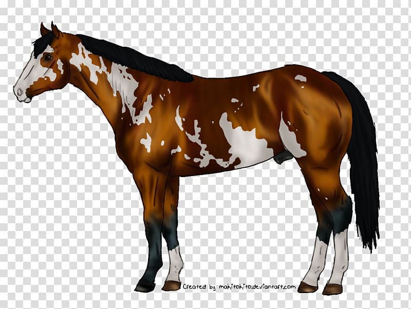 Mare Foal Stallion Colt American Saddlebred, mustang transparent background PNG clipart
