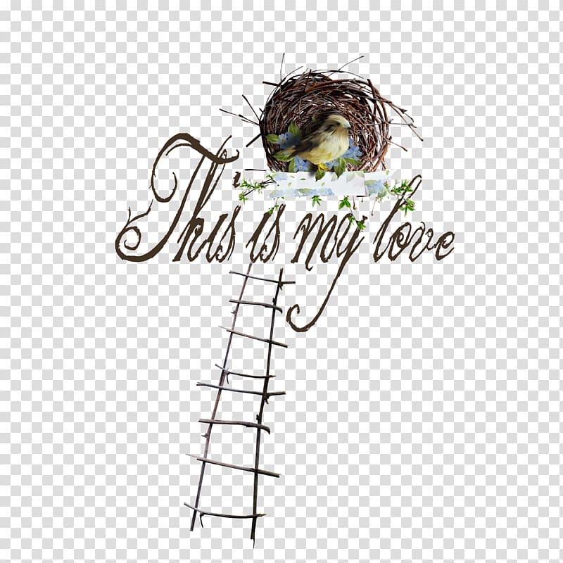 , Ladders nest transparent background PNG clipart