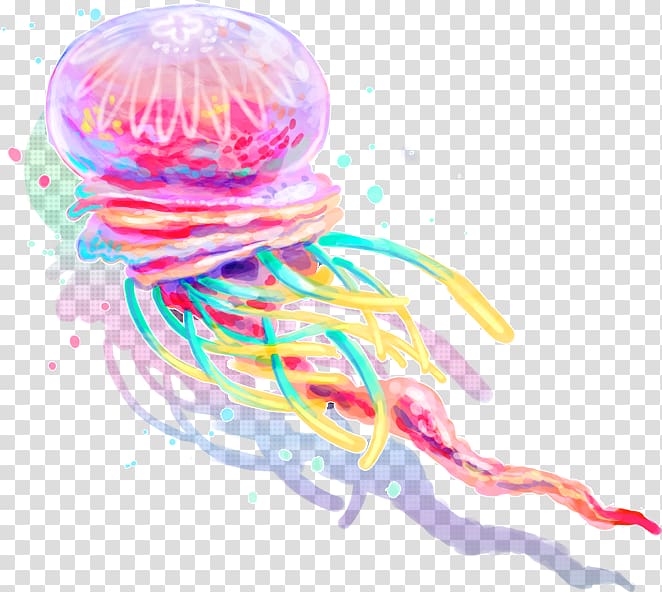 Lion's mane jellyfish Aurelia aurita Transparency and translucency Invertebrate, rainbow fish transparent background PNG clipart
