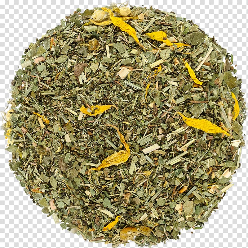 Nilgiri tea Hōjicha Mixture Tea plant, health spa transparent background PNG clipart