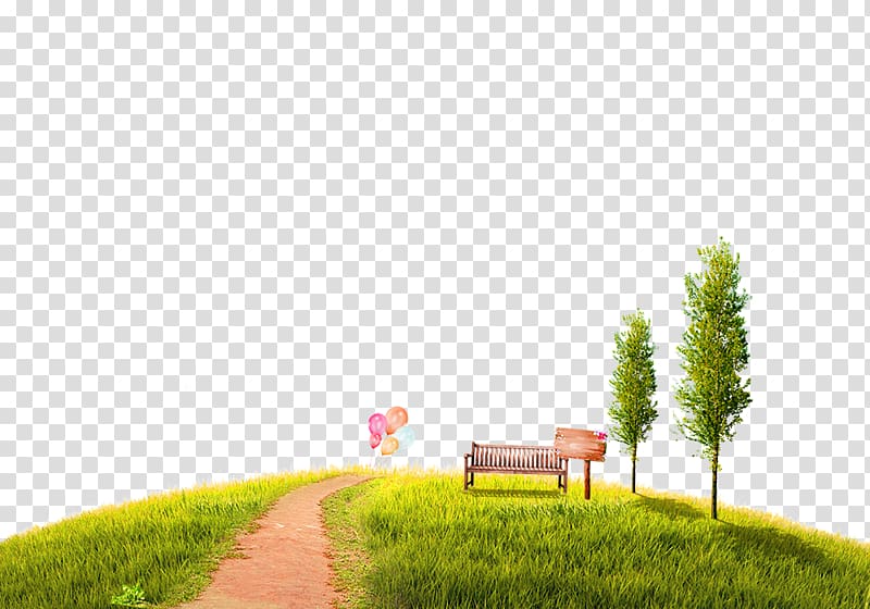 brown wooden bench on green grass near trees illustration, Lawn, Green lawn path park border texture transparent background PNG clipart