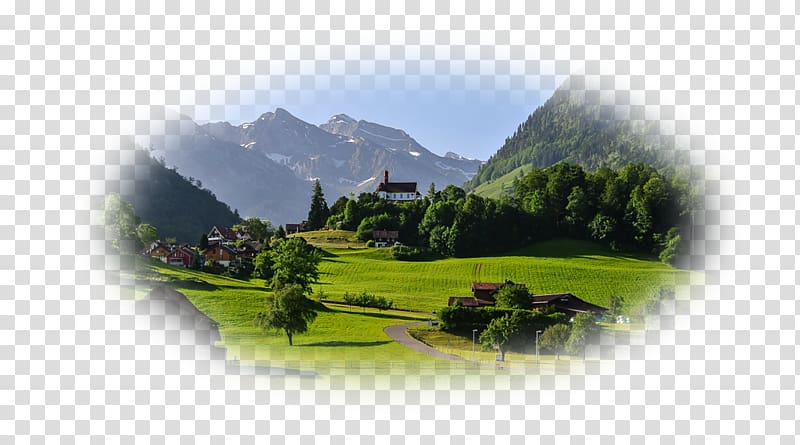 Desktop Switzerland Alps Laptop Tree, Switzerland transparent background PNG clipart