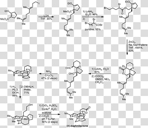 Document White Music Drawing /m/02csf, Angle transparent background PNG clipart thumbnail