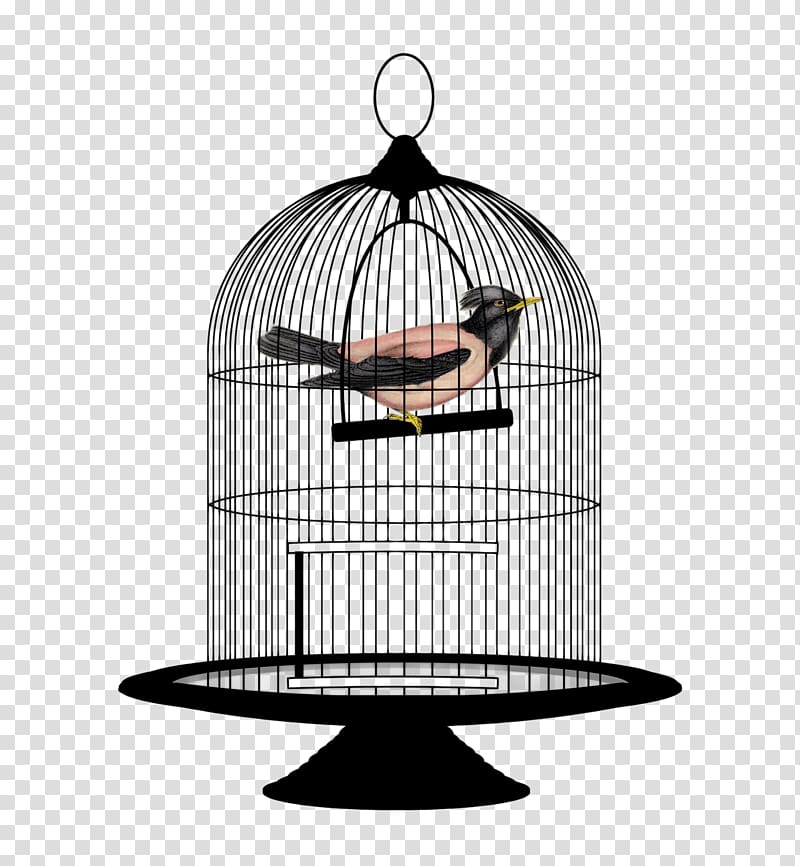 Lovebird Birdcage , Bird Cage transparent background PNG clipart