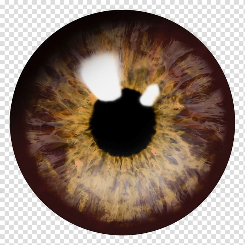 brown eyeball y, Eye Brown Icon Computer file, Eye transparent background PNG clipart
