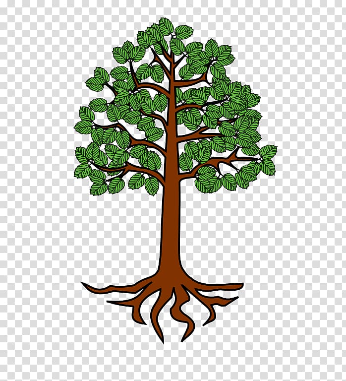 Tree Root Trunk , root transparent background PNG clipart