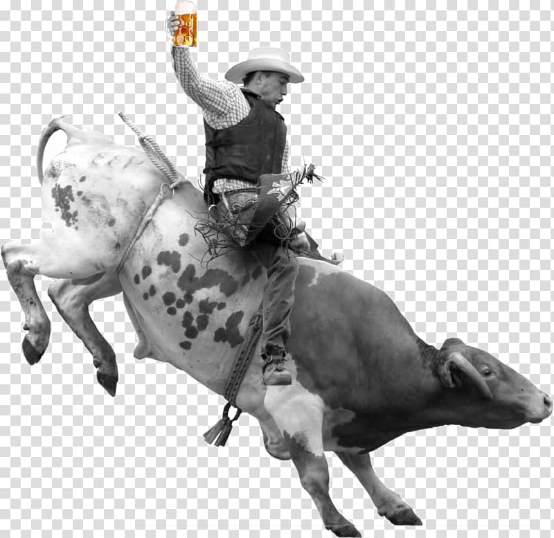 Rodeo Bull riding Cattle Cowboy, bull transparent background PNG clipart