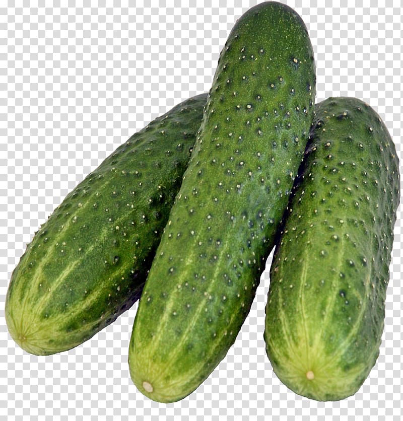 Pickled cucumber Rassolnik Salad, Cucumber transparent background PNG clipart