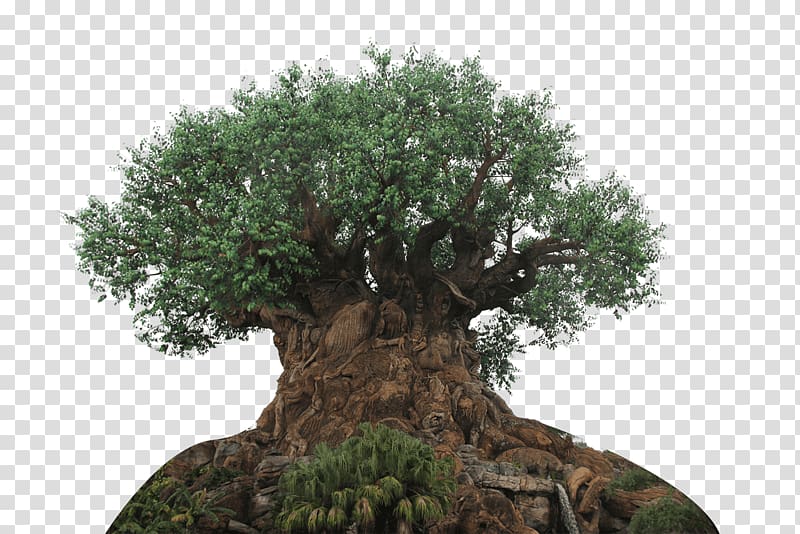 The Tree of Life Expedition Everest Disney's Hollywood Studios The Twilight Zone Tower of Terror Discovery Island, Disney's Animal Kingdom transparent background PNG clipart