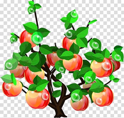 Apple Tree , Apple Tree transparent background PNG clipart