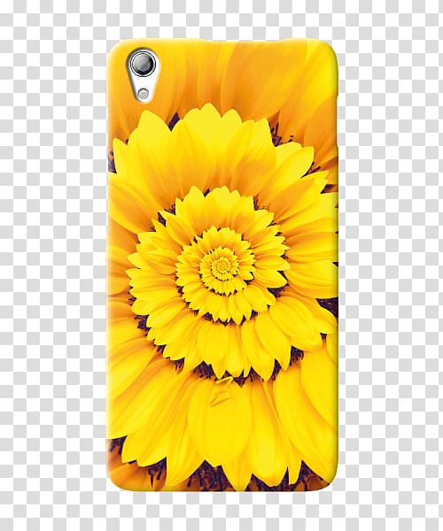 Transvaal daisy sunflower m Mobile Phone Accessories Marigolds Mobile Phones, cover transparent background PNG clipart