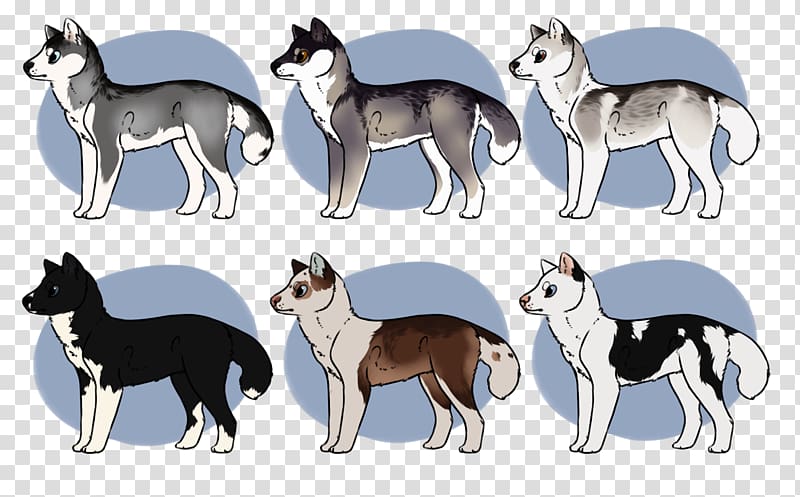 Siberian Husky Sakhalin Husky Seppala Siberian Sleddog Border Collie Animal, siberian husky transparent background PNG clipart