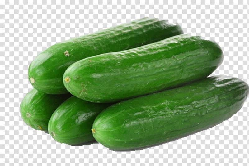 Pickled cucumber Lebanese cuisine Vegetable Pickling, cucumber transparent background PNG clipart