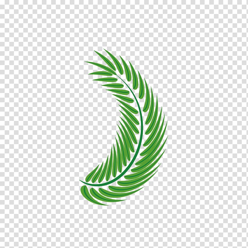 green leafed plant , Leaf Arecaceae Euclidean , Palm leaf green decoration transparent background PNG clipart