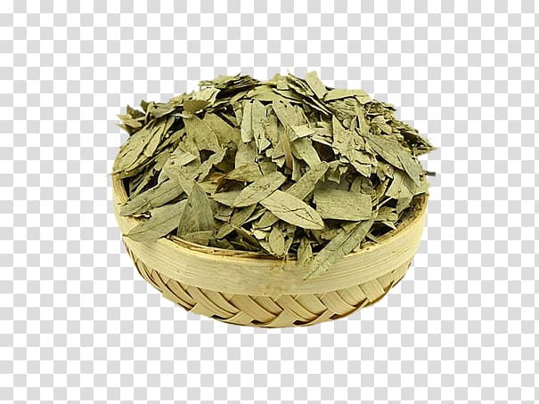 Herbal tea Senna glycoside Laxative Crude drug, Senna tea transparent background PNG clipart